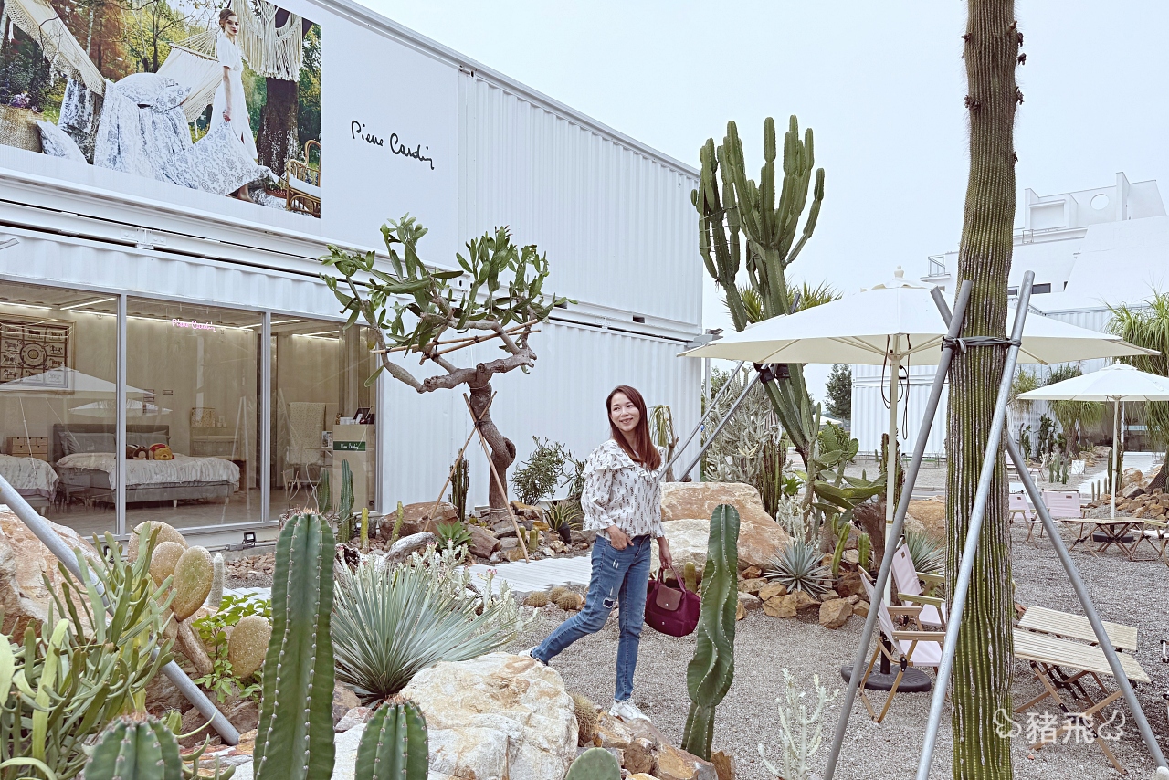 台中南屯最新打卡點｜台版小加州「皮爾卡登寢具台中旗艦店」，仙人掌園區時尚好拍
